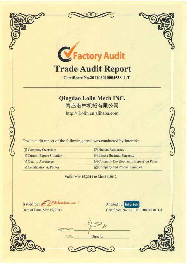 Audit Report